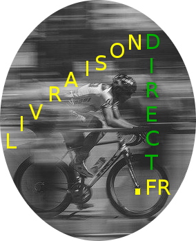 logo du site web www.LivraisonDirect.fr